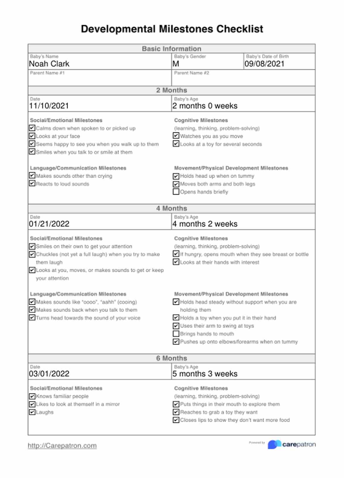 Developmental Milestones Checklist PDF Example