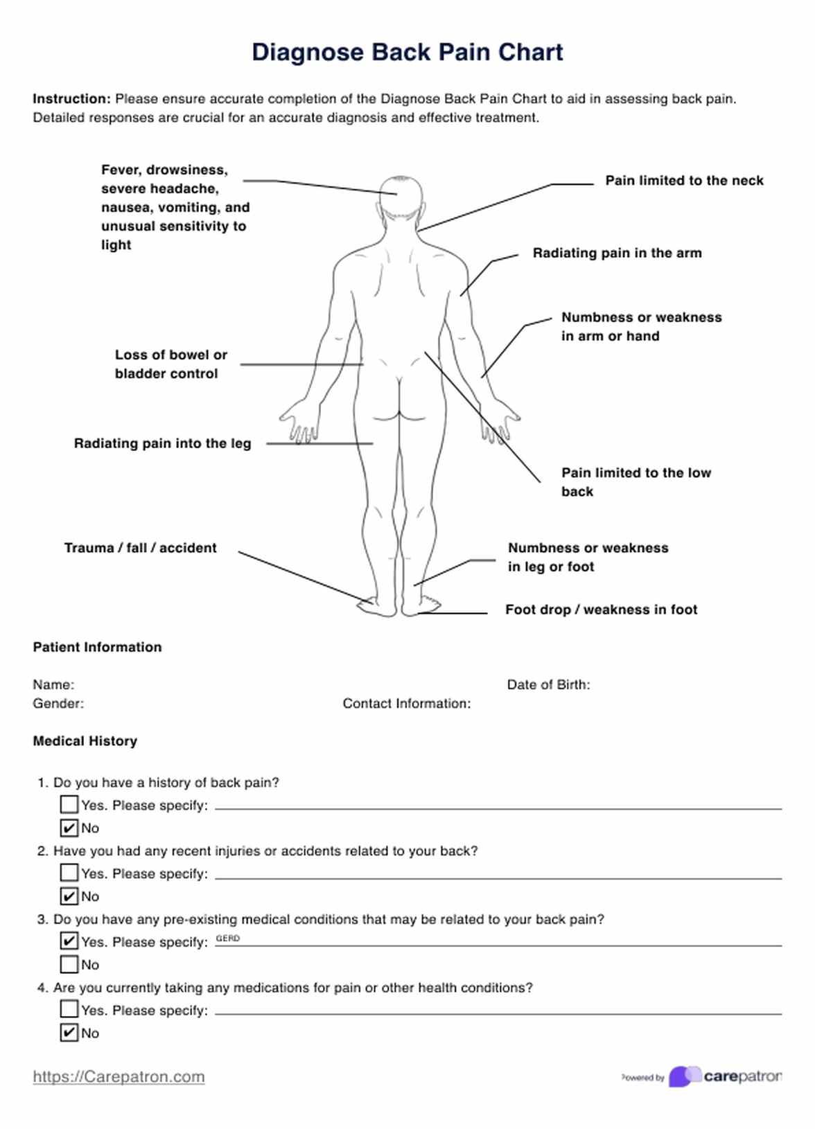 Diagnose Back Pain Charts PDF Example