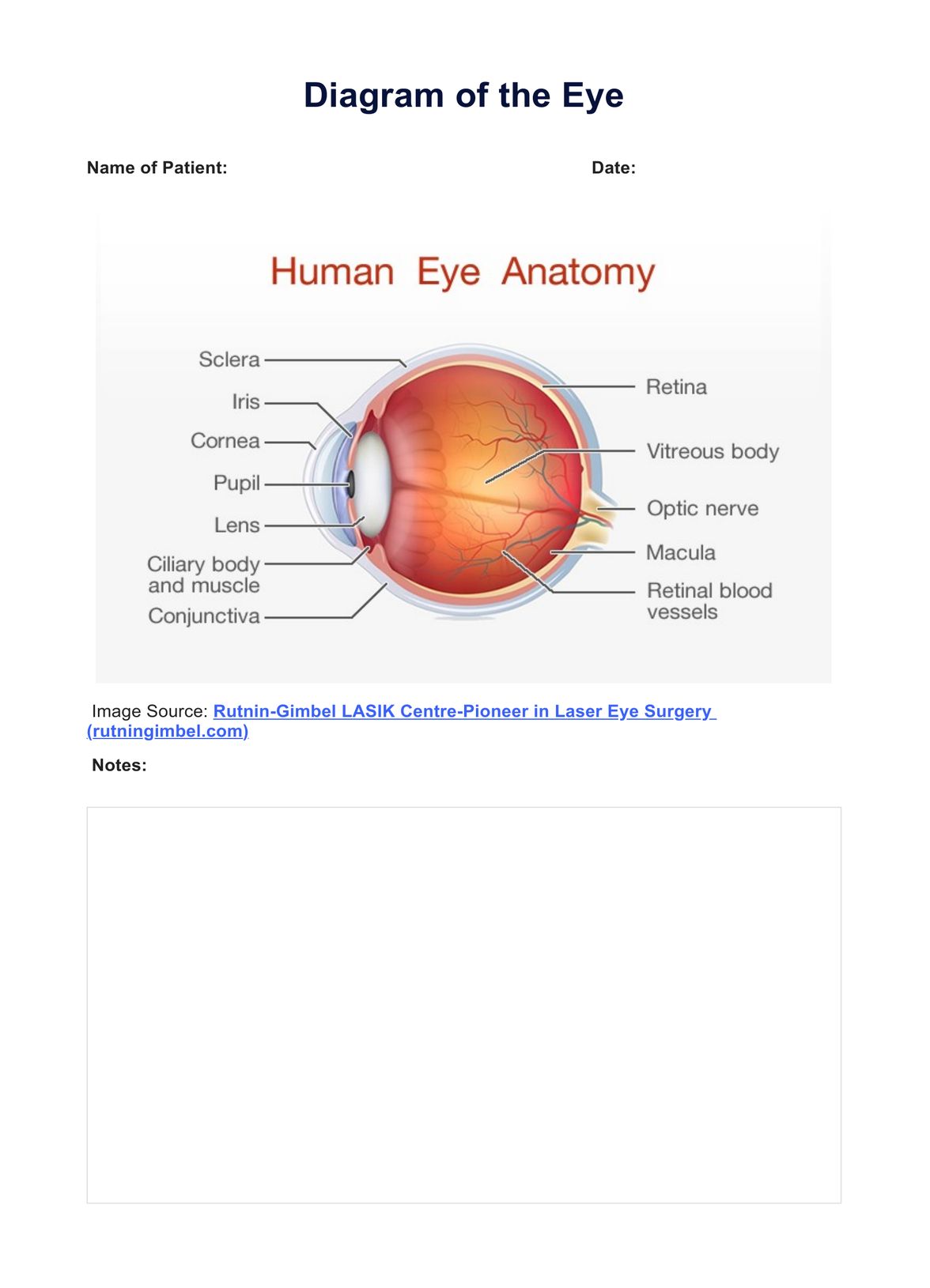 Diagram of the Eye PDF Example
