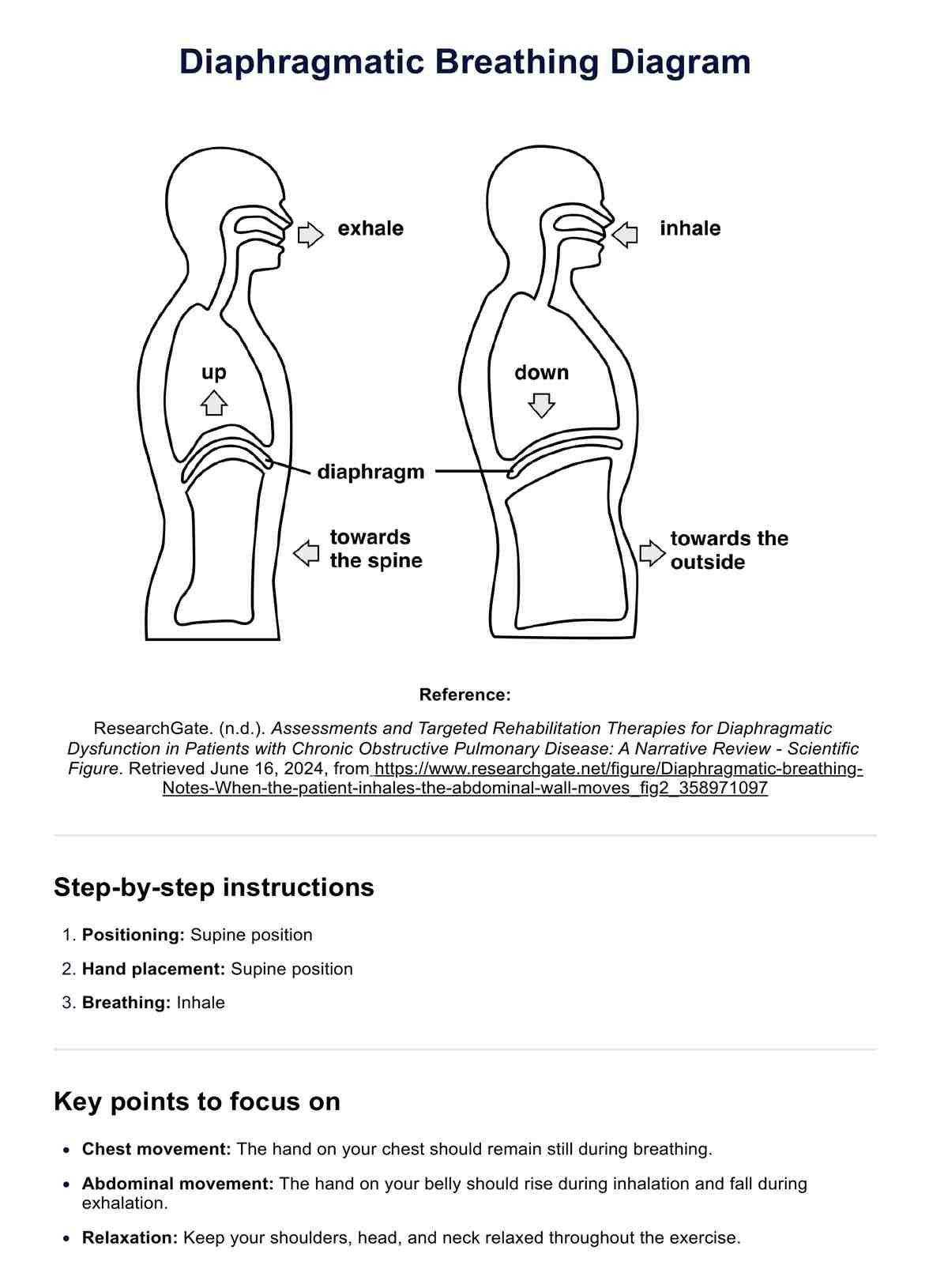 Diagrama de respiración diafragmática PDF Example