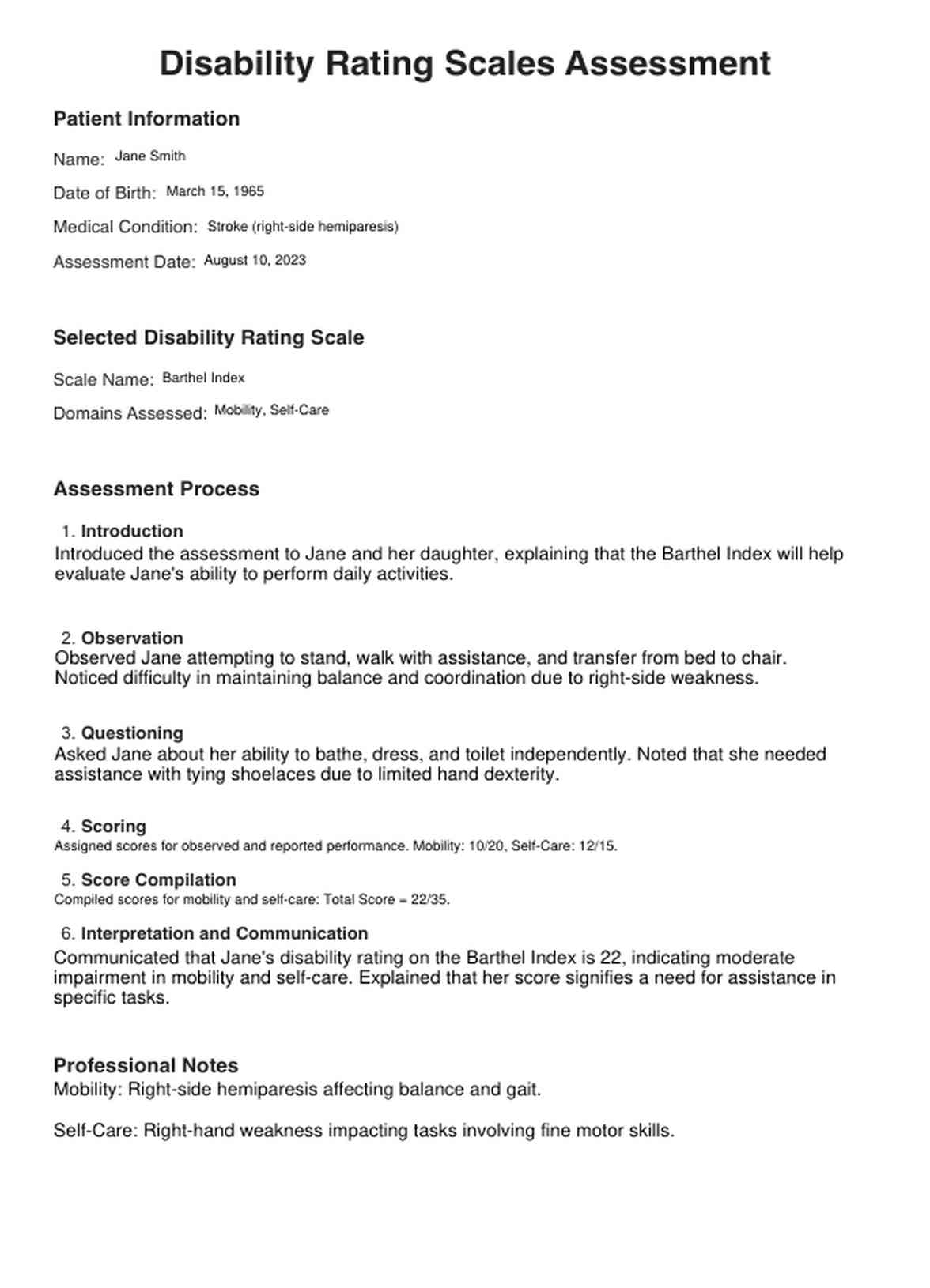 Disability Rating Scales PDF Example