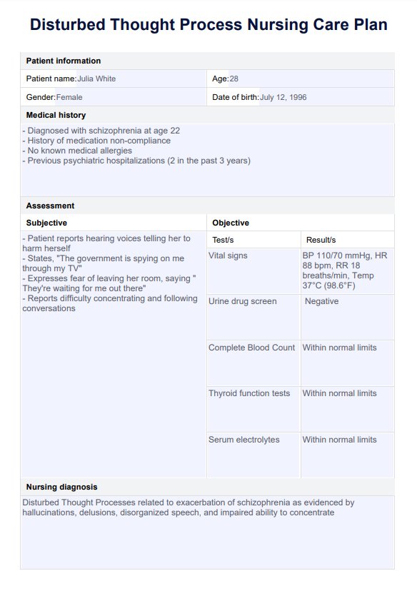 Disturbed Thought Process Nursing Care Plan PDF Example