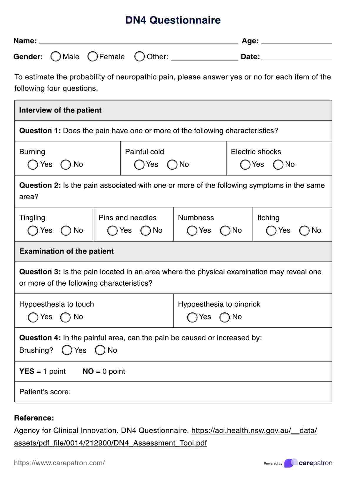 DN4 Questionnaire PDF Example