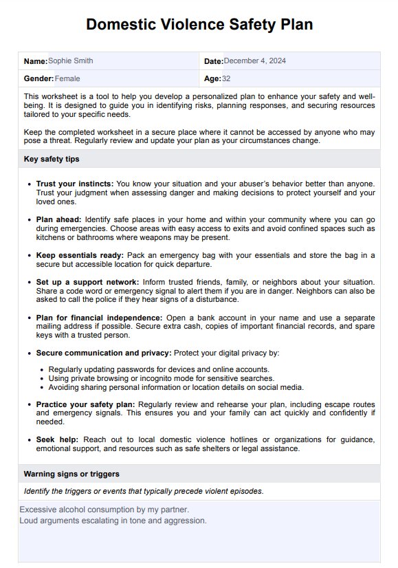 Plan de seguridad contra la violencia doméstica PDF Example