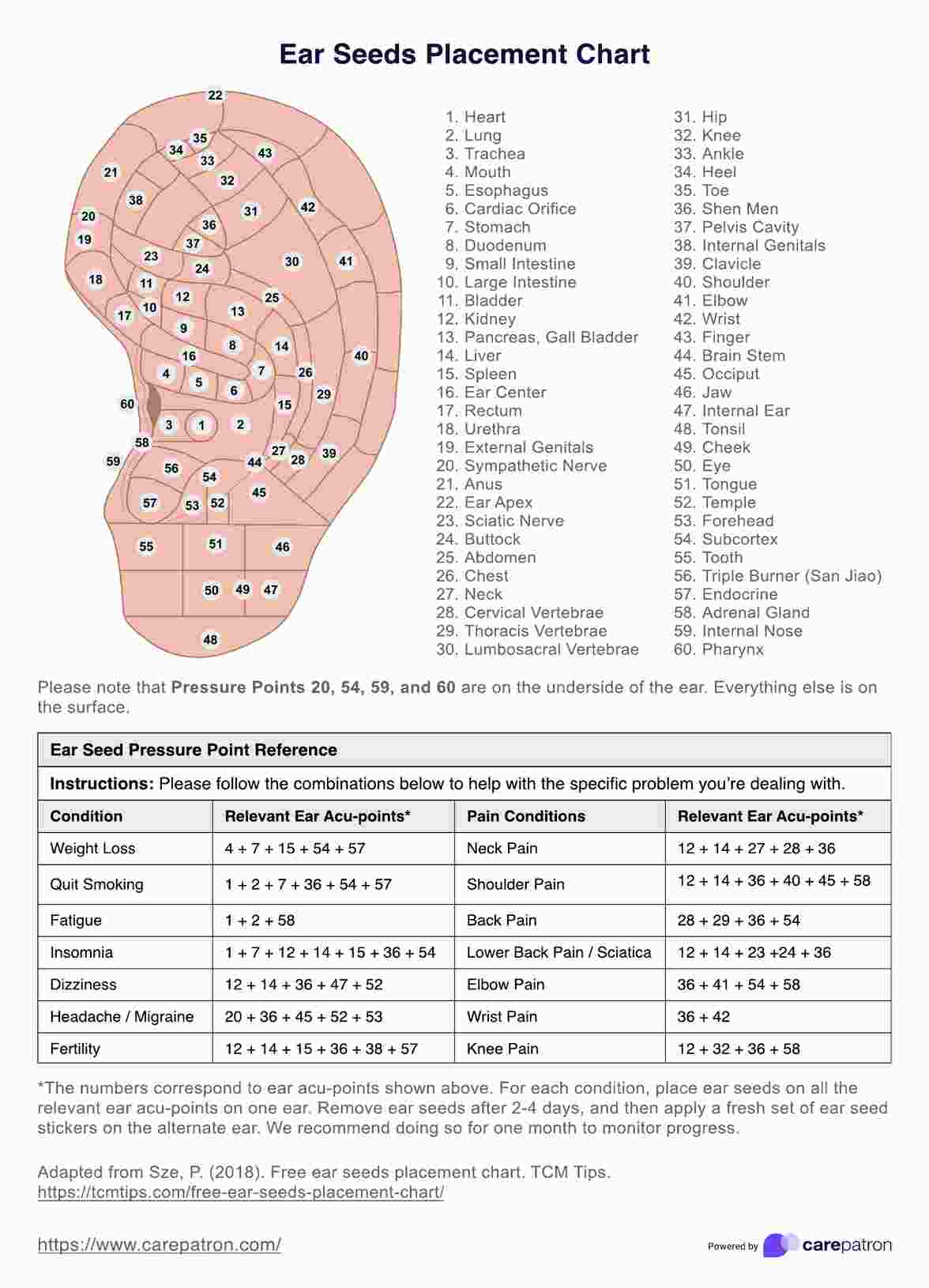 Ear Seeds Placement Chart PDF Example