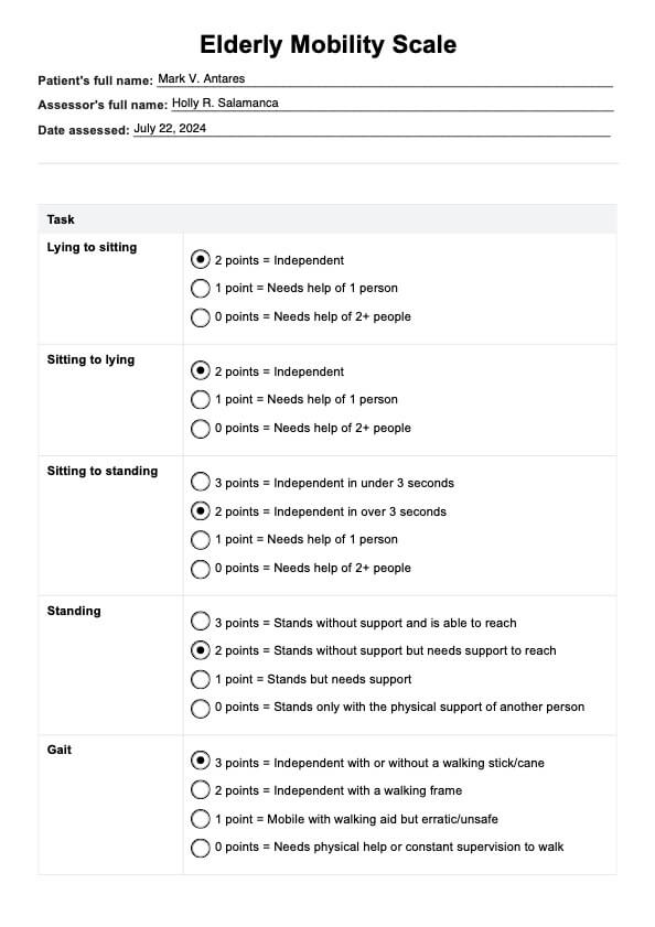 Elderly Mobility Scale PDF Example