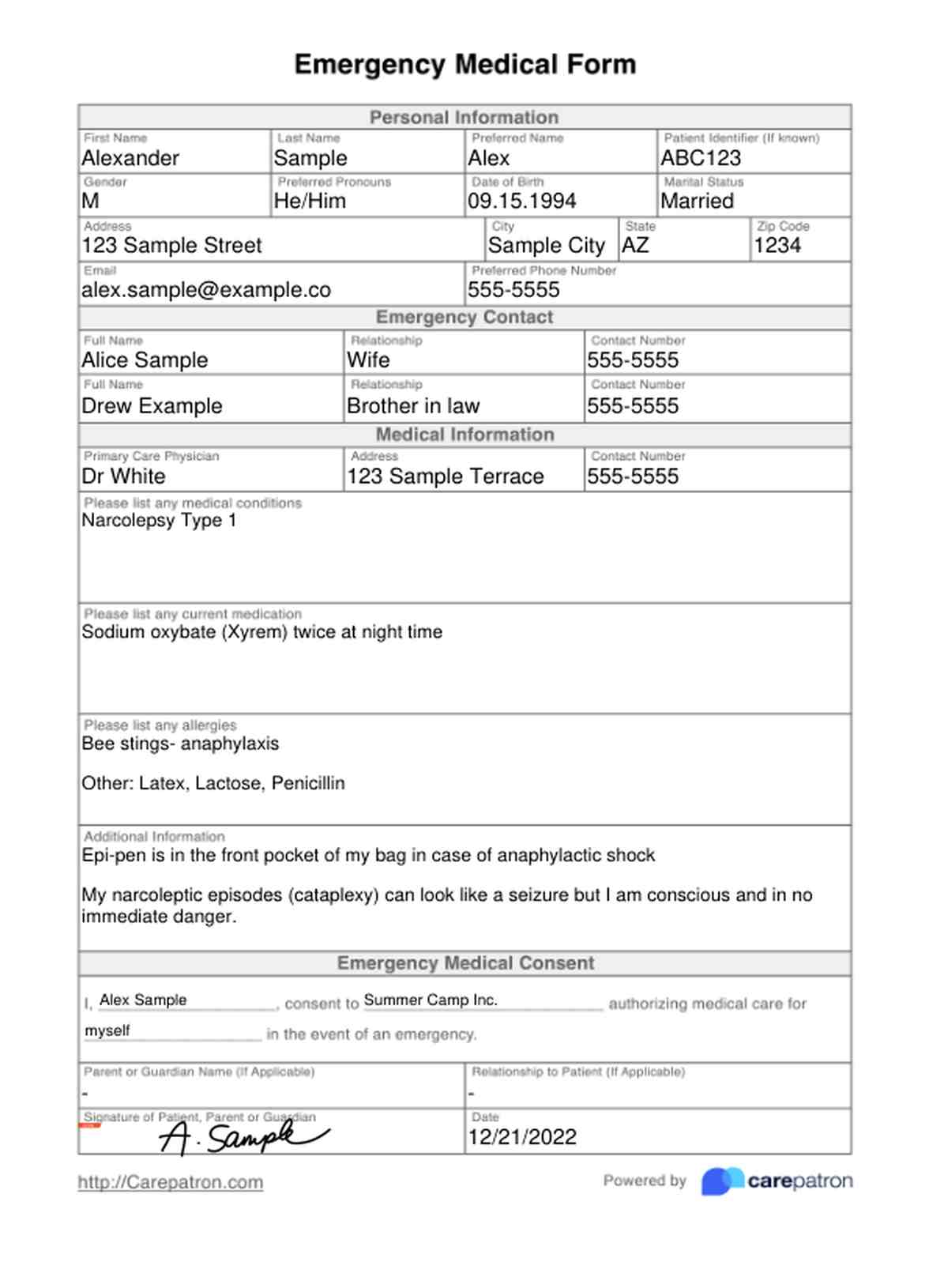 Formulario de Emergencias médicas PDF Example