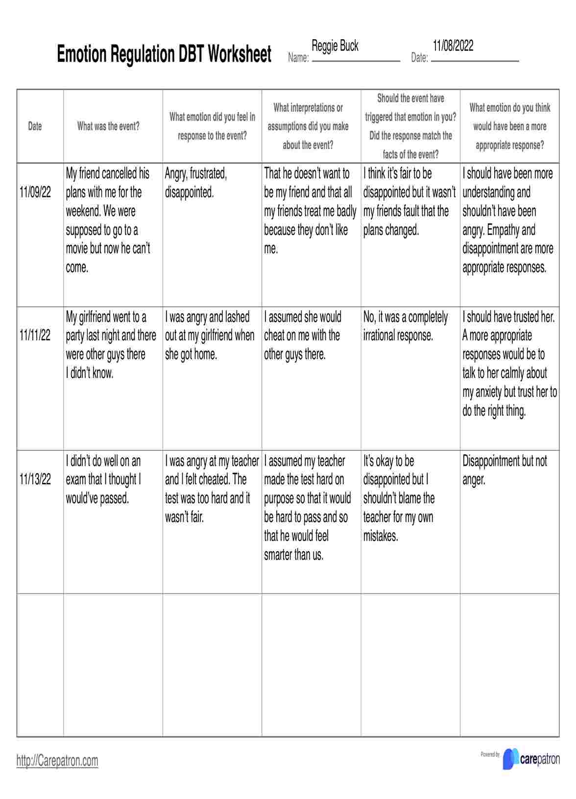 Emotion Regulation DBT Worksheets PDF Example