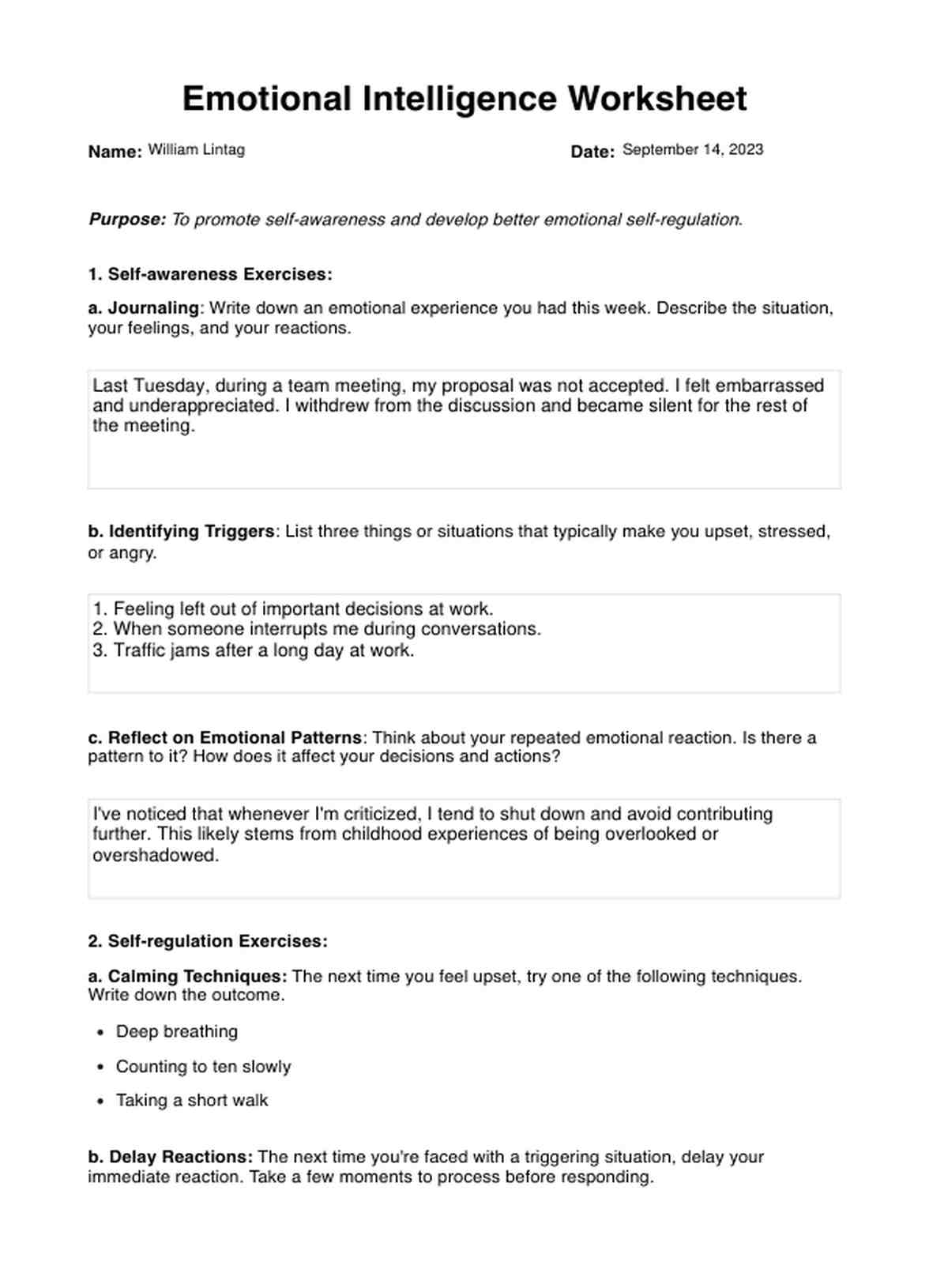 Emotional Intelligence Worksheets PDF Example