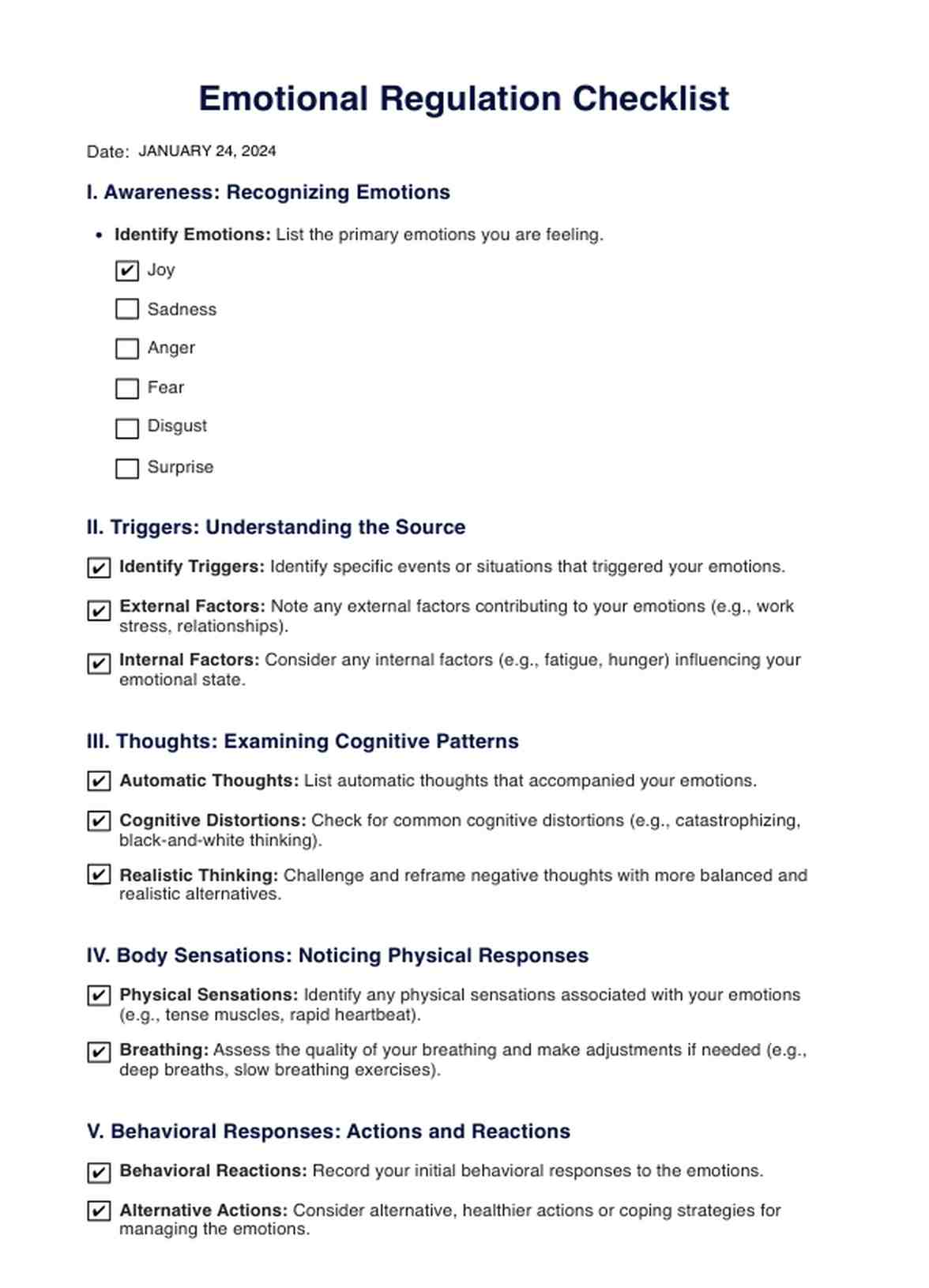Emotion Regulation Checklist PDF Example
