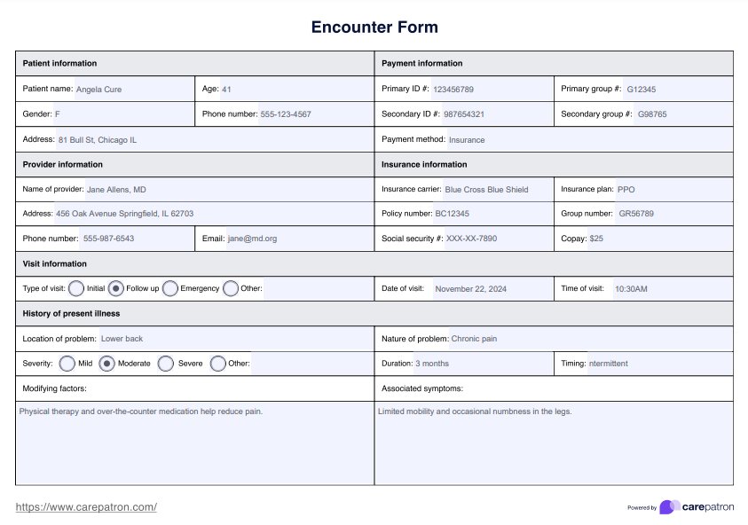 Encounter Form PDF Example