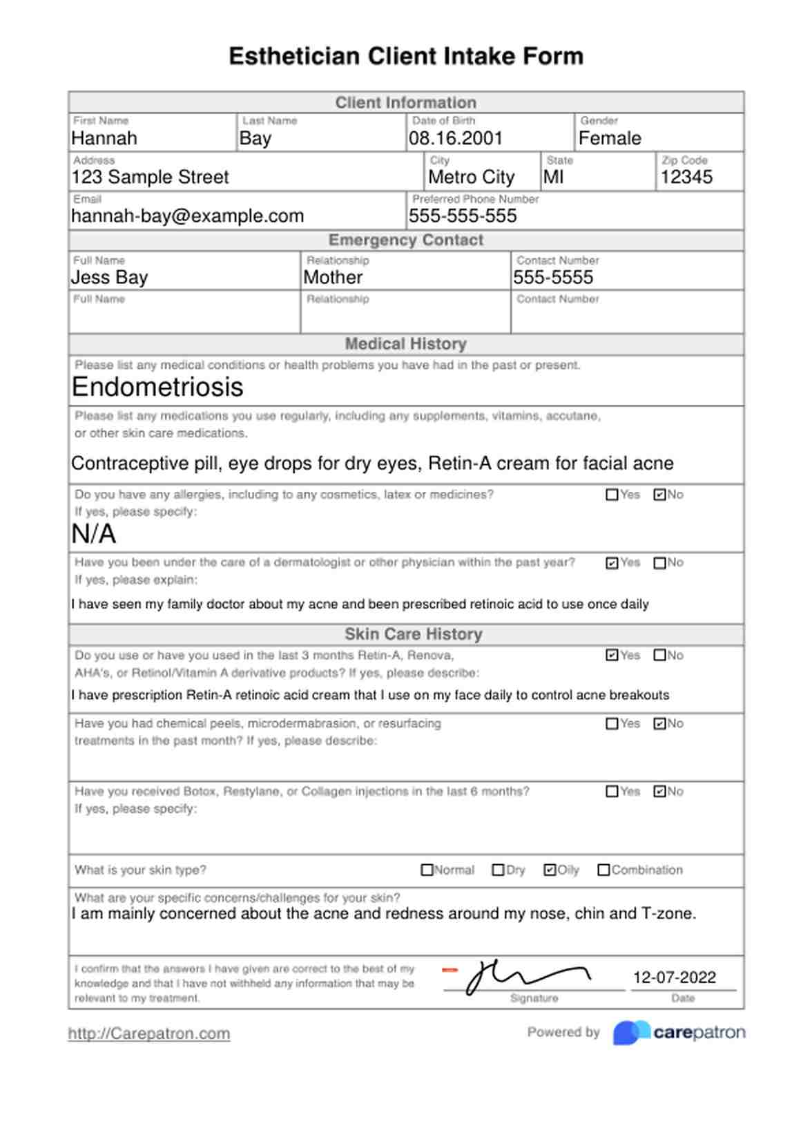 Esthetician Client Intake Form PDF Example