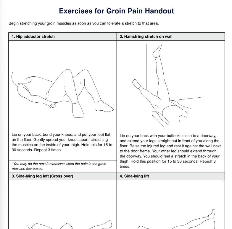 Exercises for Groin Pain Handout PDF Example