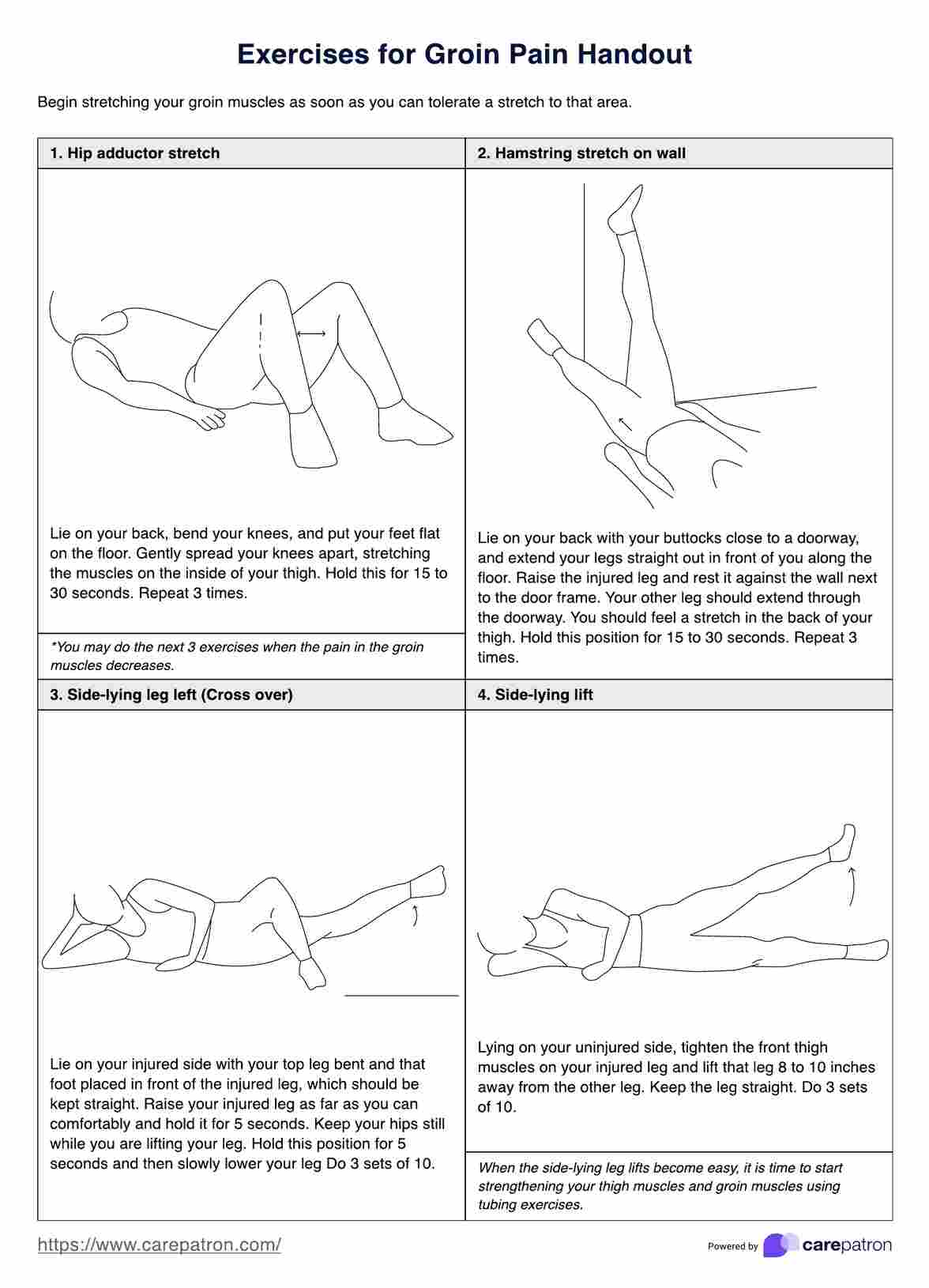 Folleto de ejercicios para el dolor en la ingle PDF Example