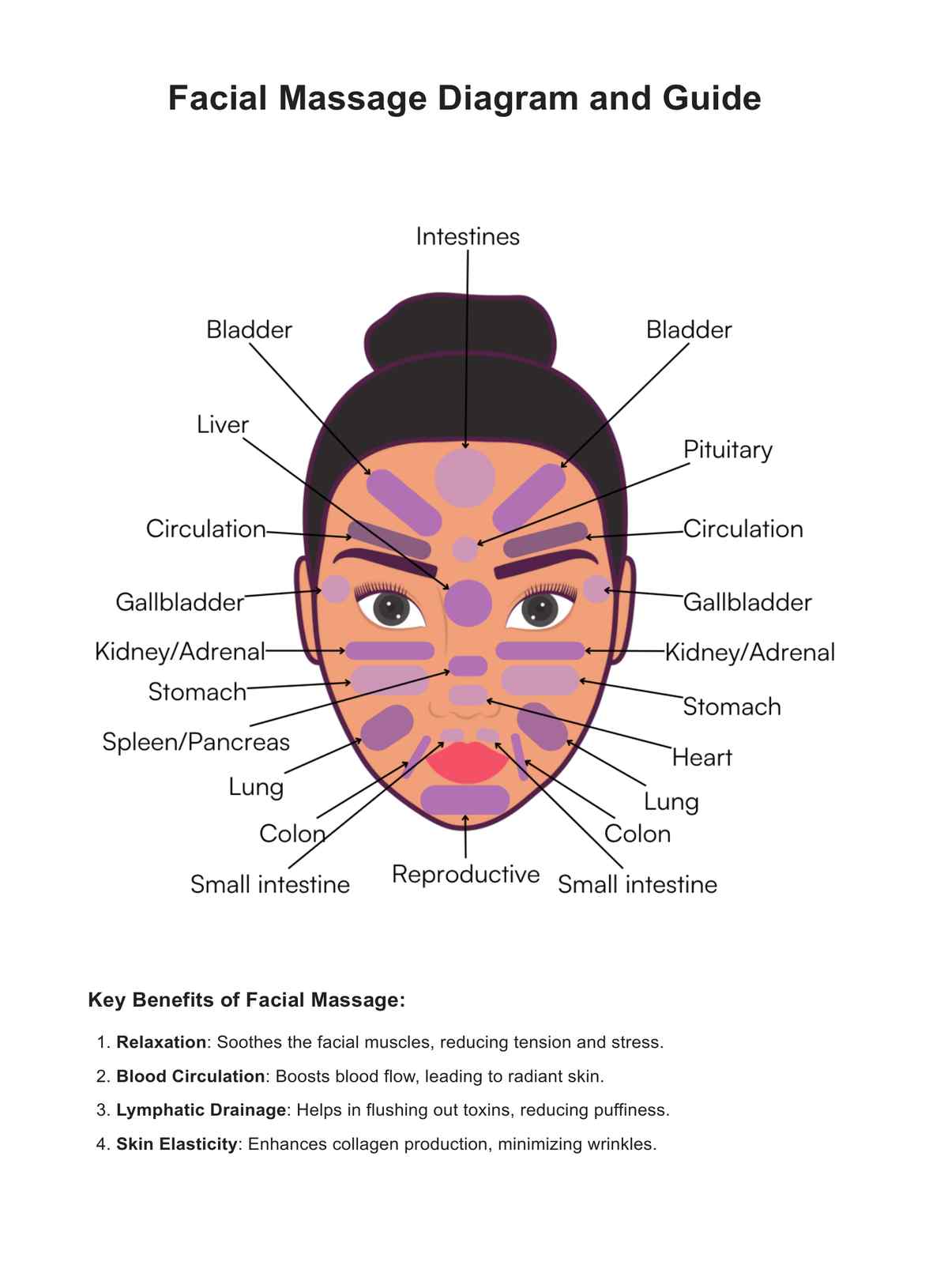 Facial Massage Movements Diagrams PDF Example