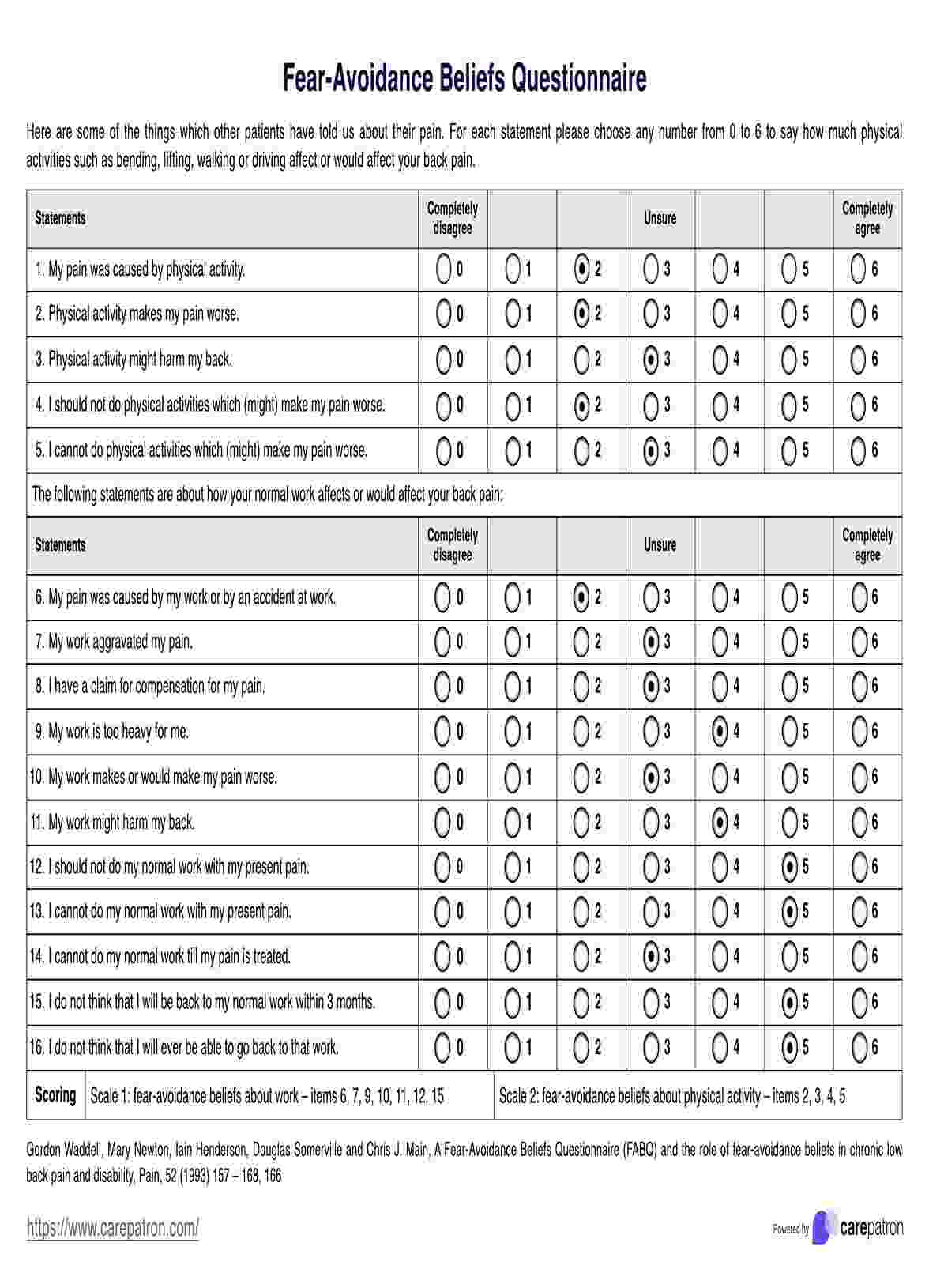 Fear-Avoidance Beliefs Questionnaire PDF Example