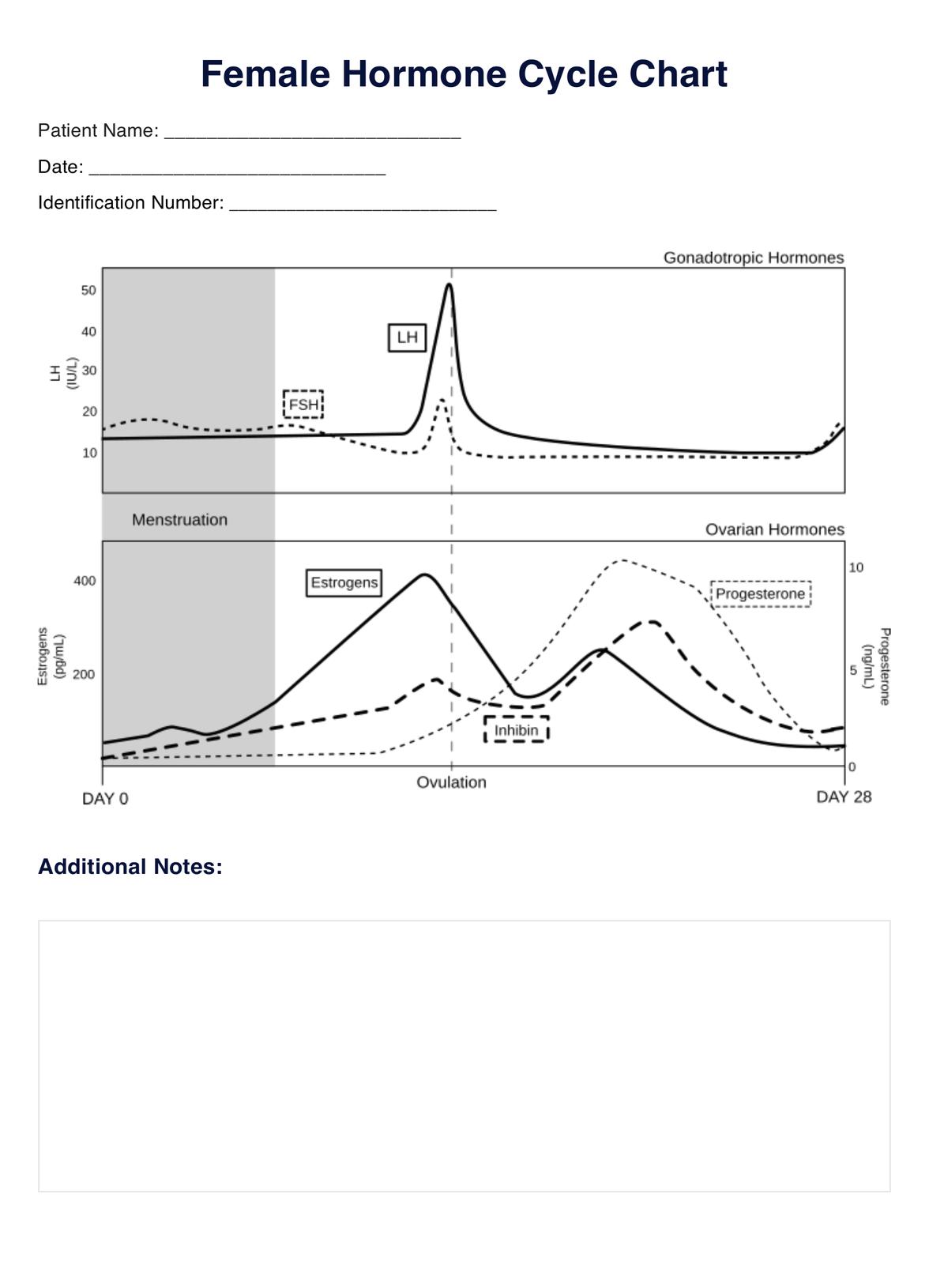 Female Hormone Cycle PDF Example