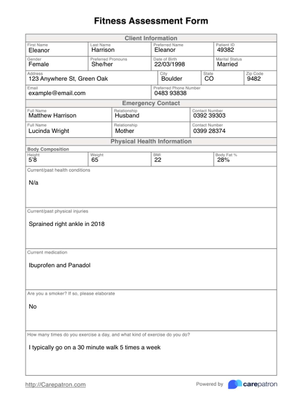 Fitness Assessment Form PDF Example