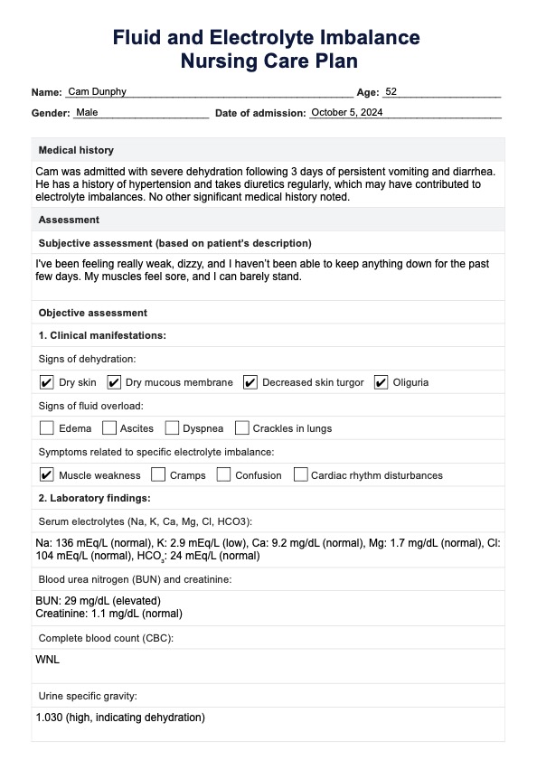 Plan de cuidado de desequilibrio de líquidos y electrolitos PDF Example