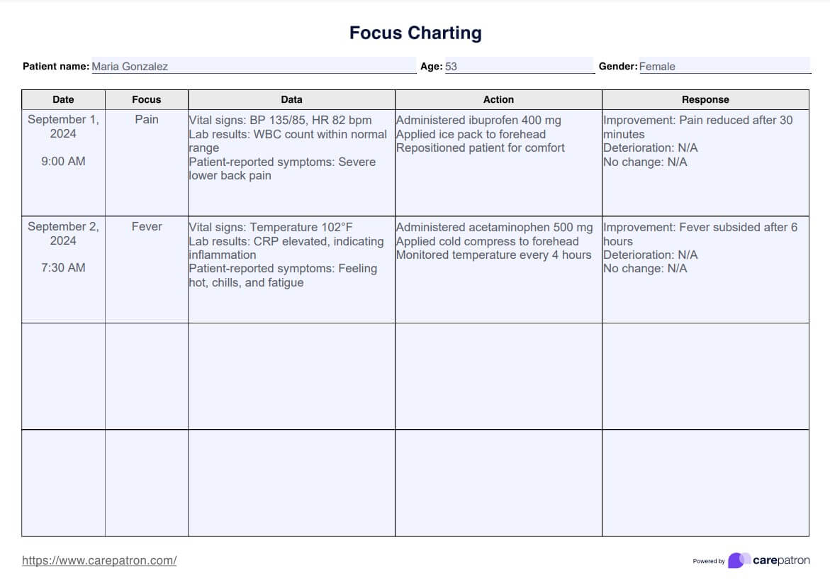 Notas de enfermería de focus charting PDF Example