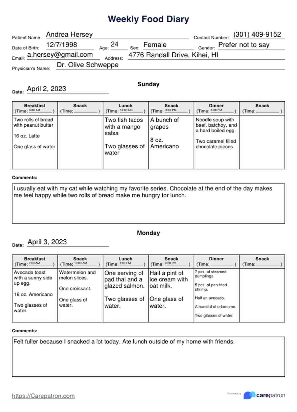 Food Diary Template PDF Example