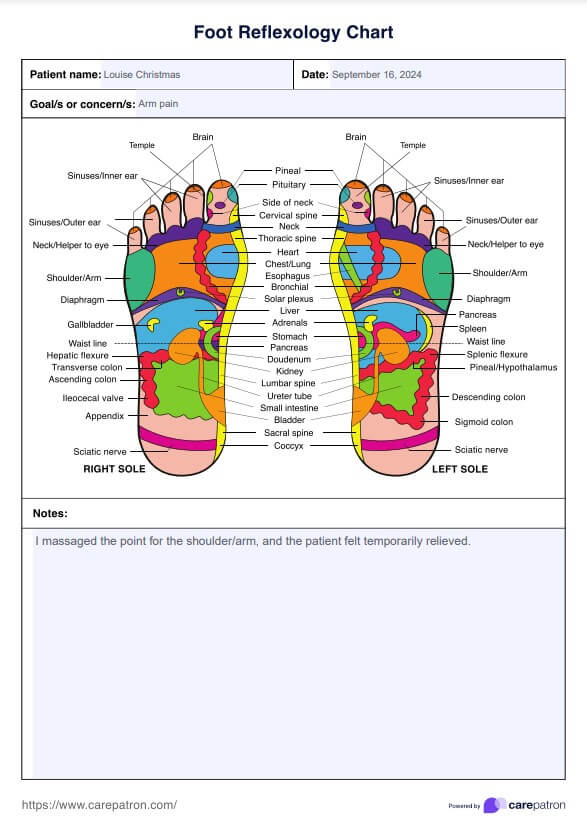 फुट रिफ्लेक्सोलॉजी चार्ट्स PDF Example