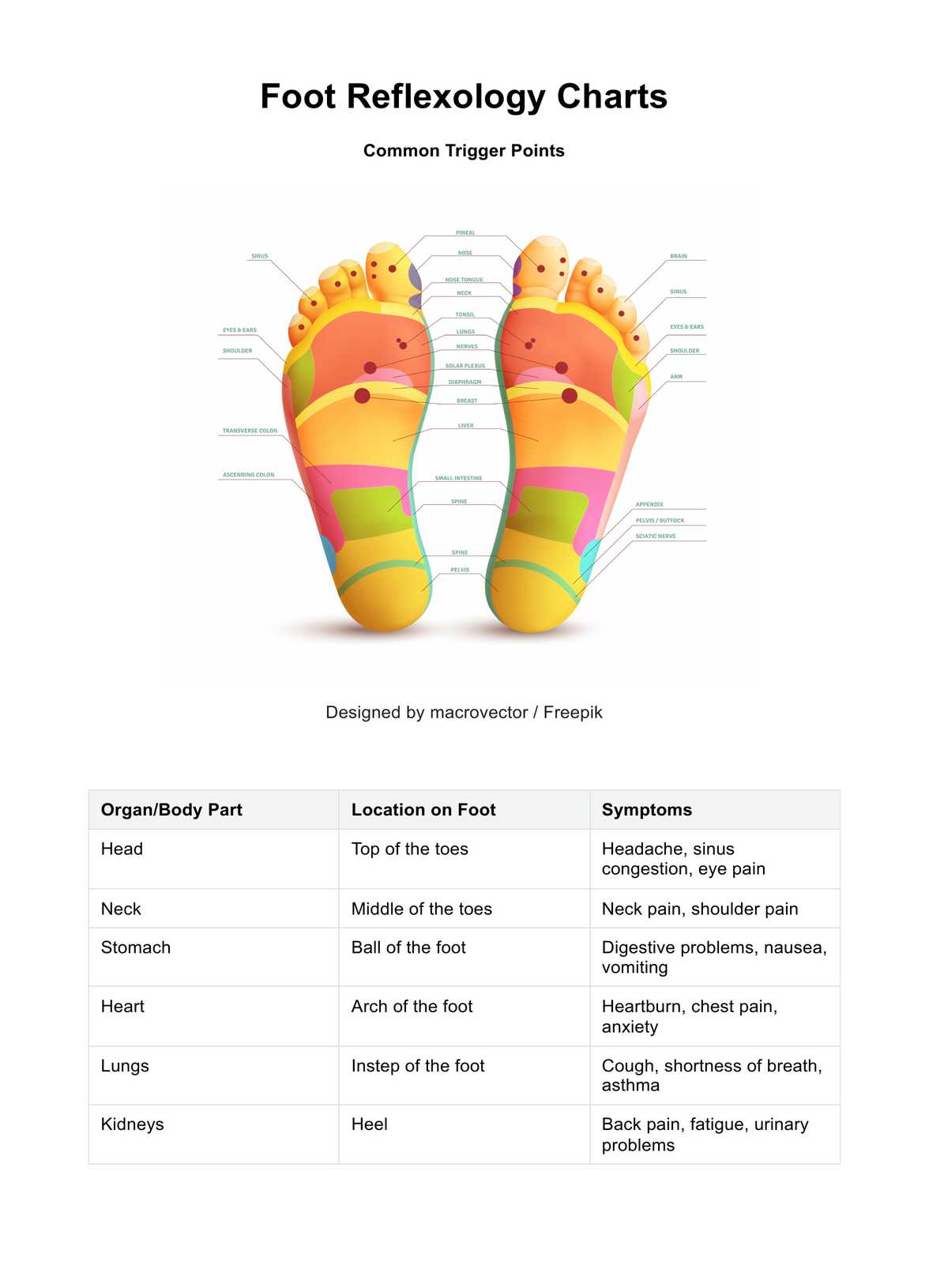 Foot Reflexology Charts PDF Example