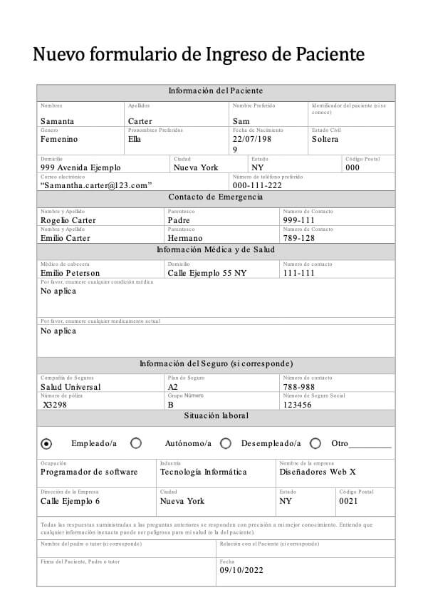 Formulario de admisión de nuevos pacientes PDF Example