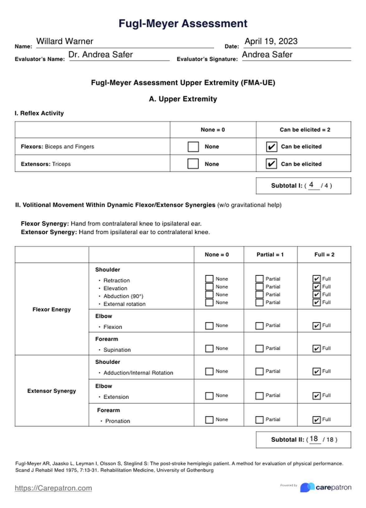 Fugl Meyer Assessment PDF Example