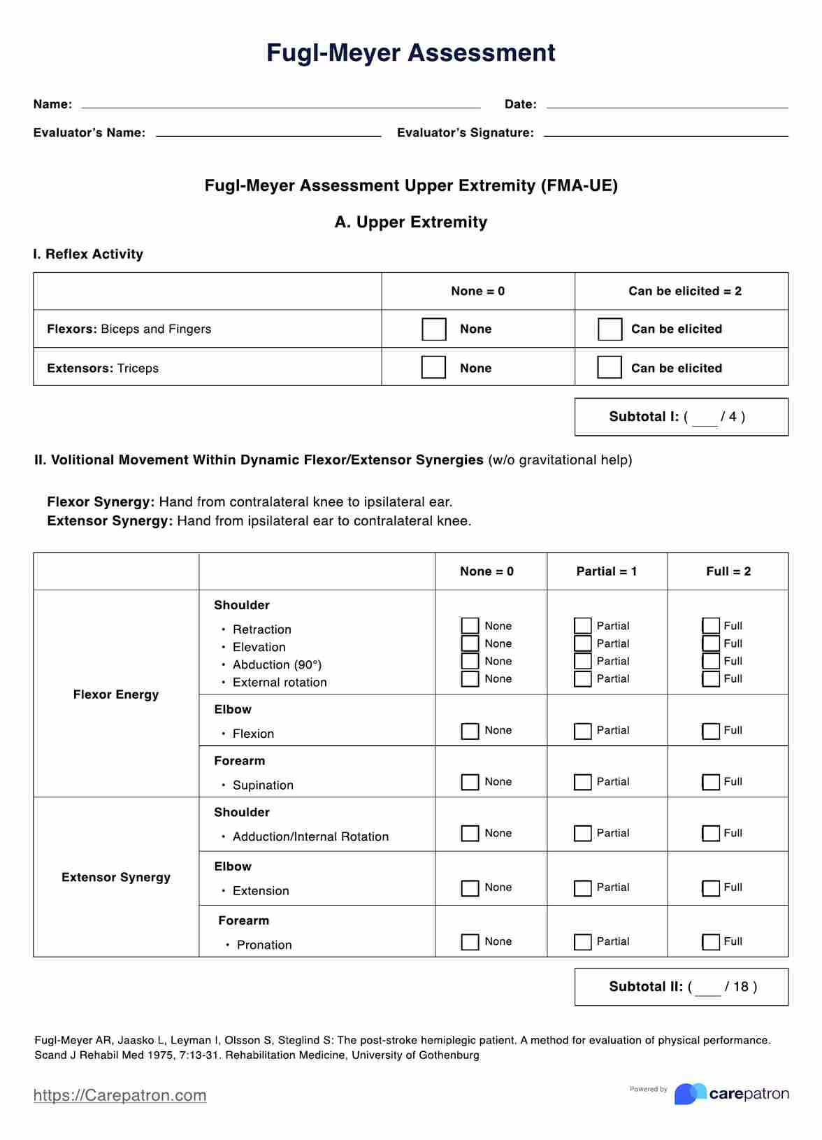 Fugl Meyer Assessment PDF Example