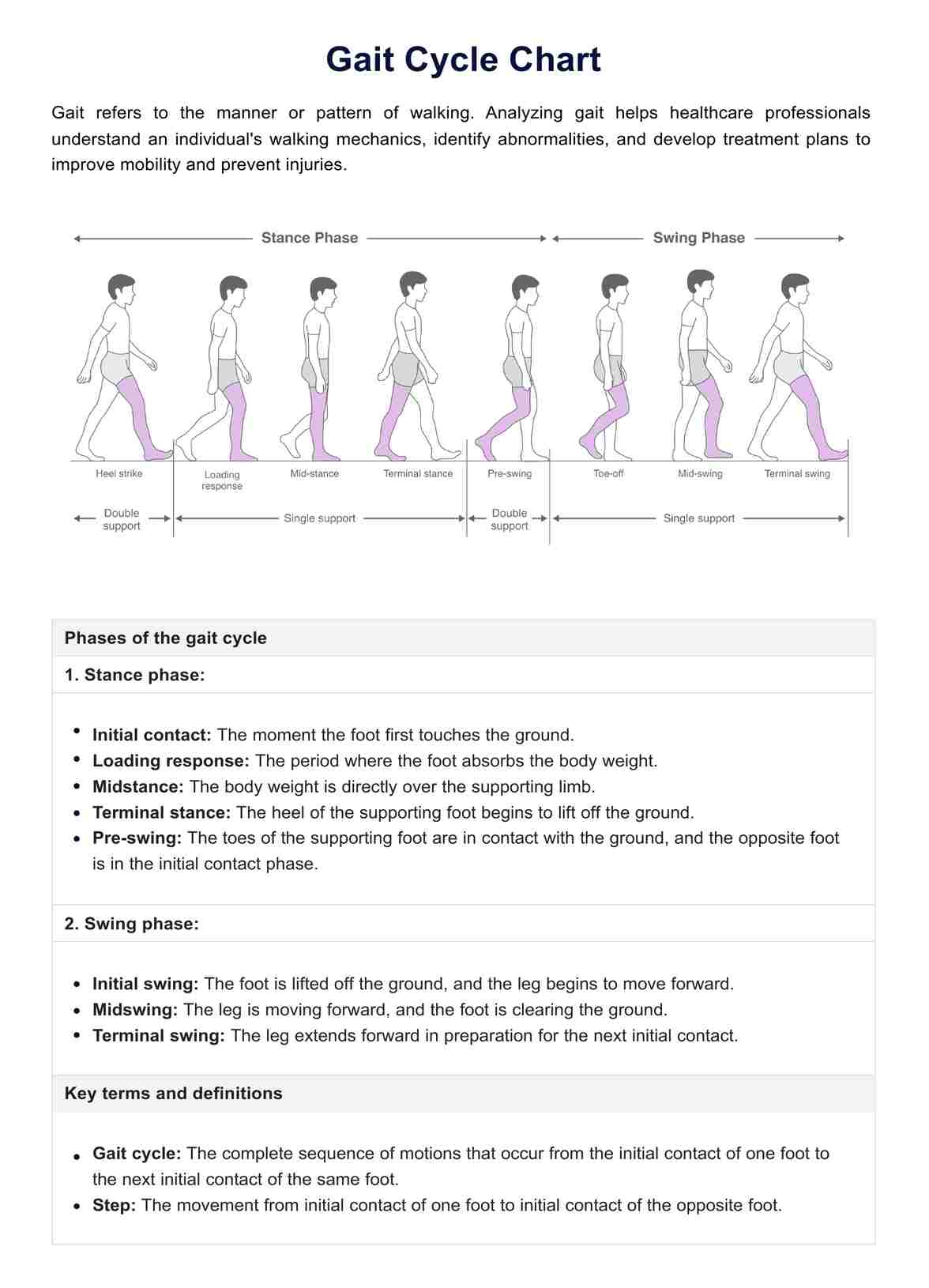 Gait Cycle Chart PDF Example
