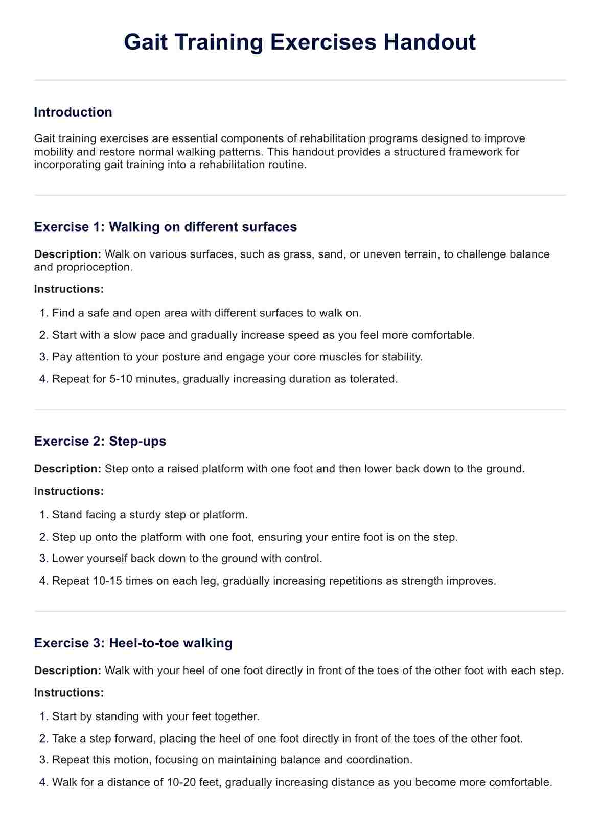Gait Training Exercises Handout PDF Example