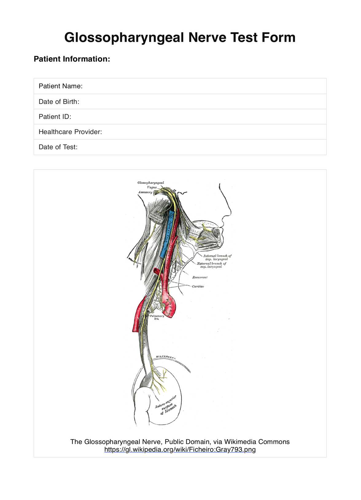 Glossopharyngeal Nerve Test PDF Example