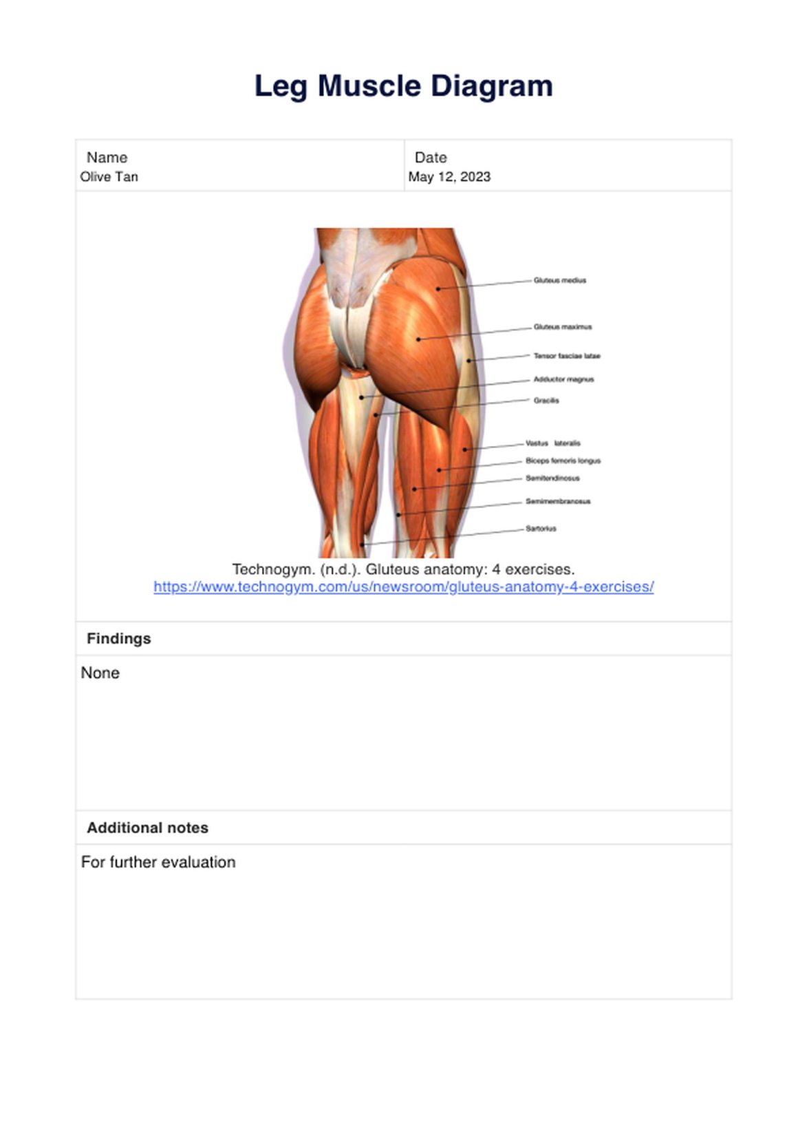Glute Muscle Diagram PDF Example
