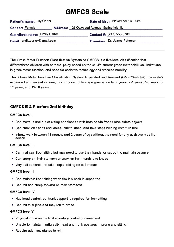 GMFCS Scale PDF Example