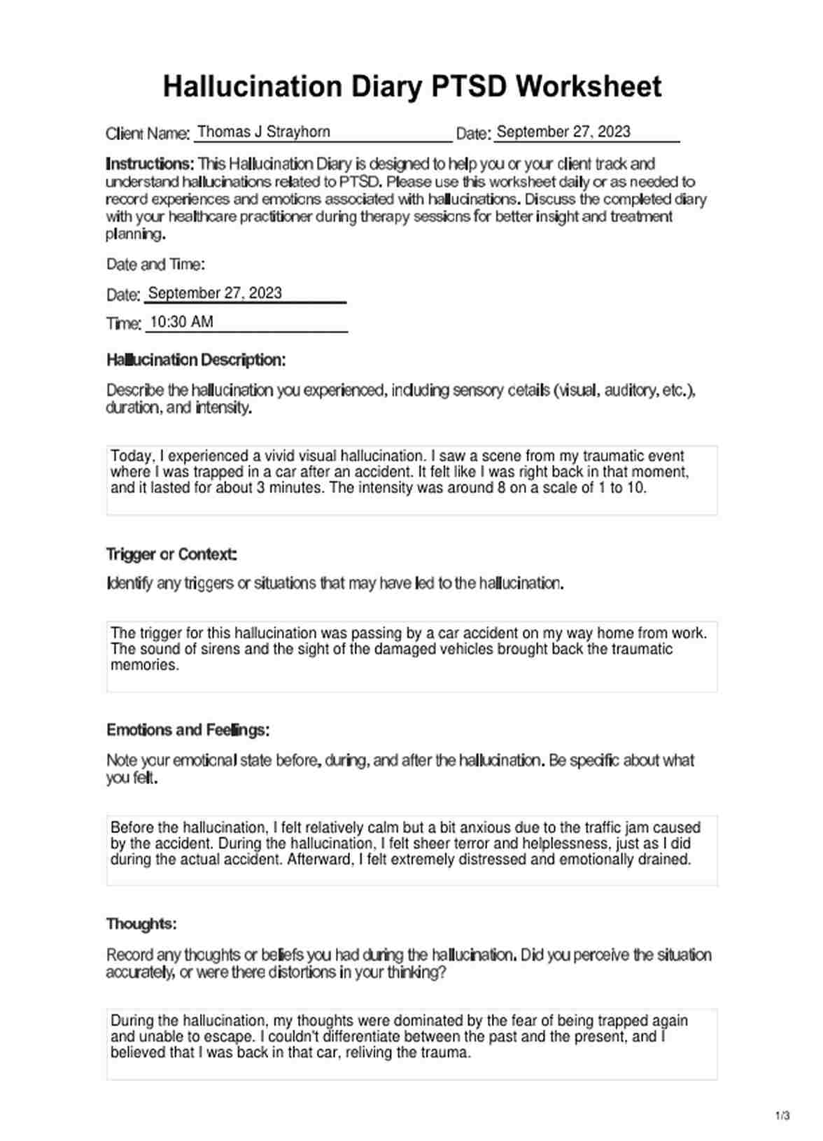 Hallucination Diary PTSD Worksheet PDF Example