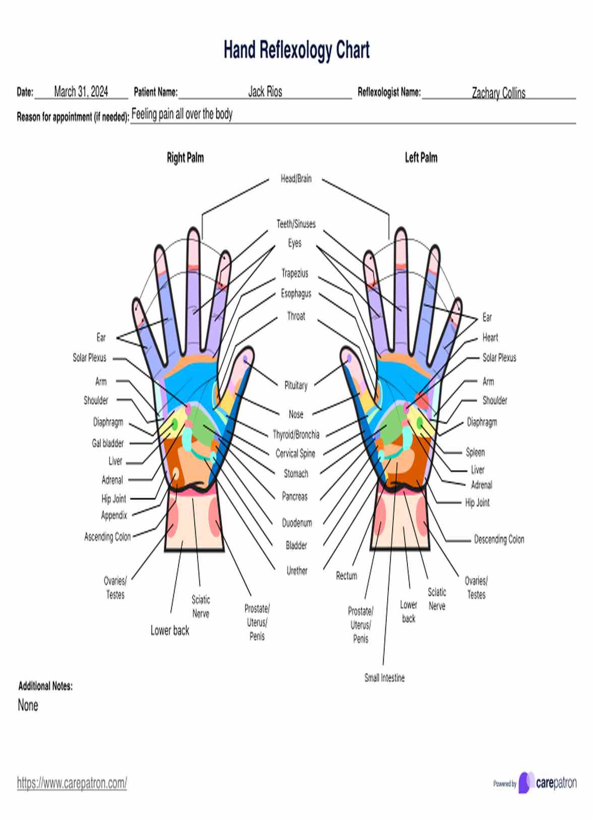 Hand Reflexology Charts PDF Example