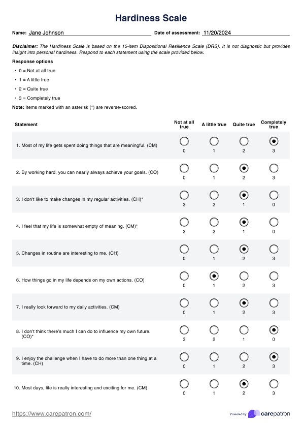 Hardiness Scale PDF Example