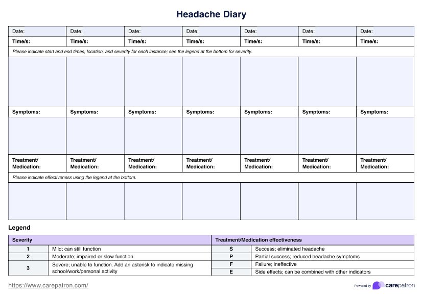 Headache Diary PDF Example