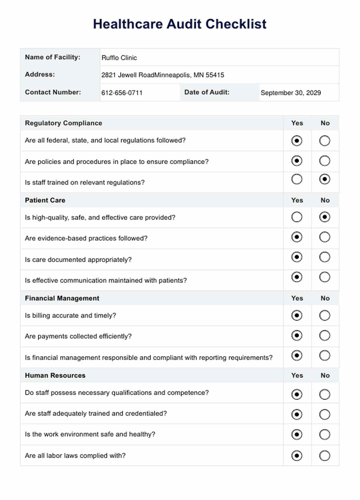 Healthcare Audit Checklist PDF Example