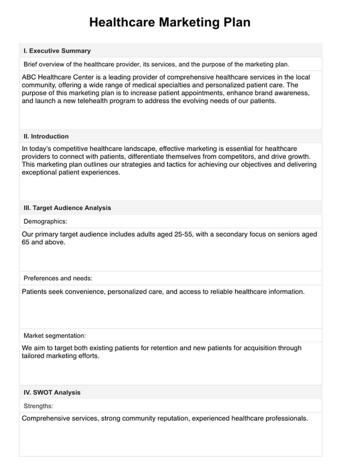 Healthcare Marketing Plan PDF Example
