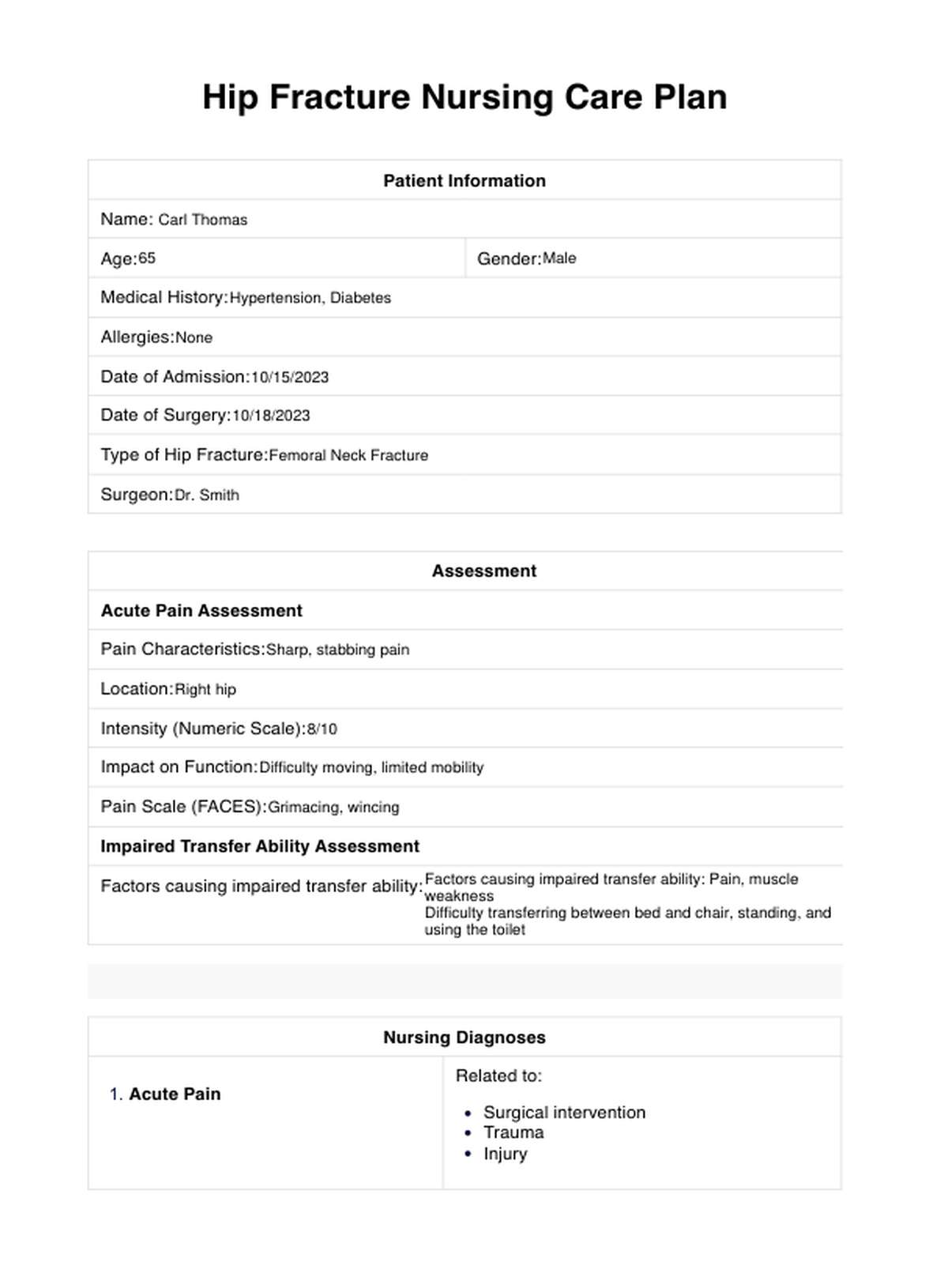 Hip Fracture Nursing Care Plan PDF Example
