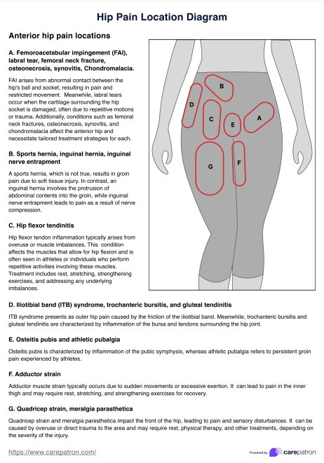 Lonkkikivun sijaintikaavio PDF Example