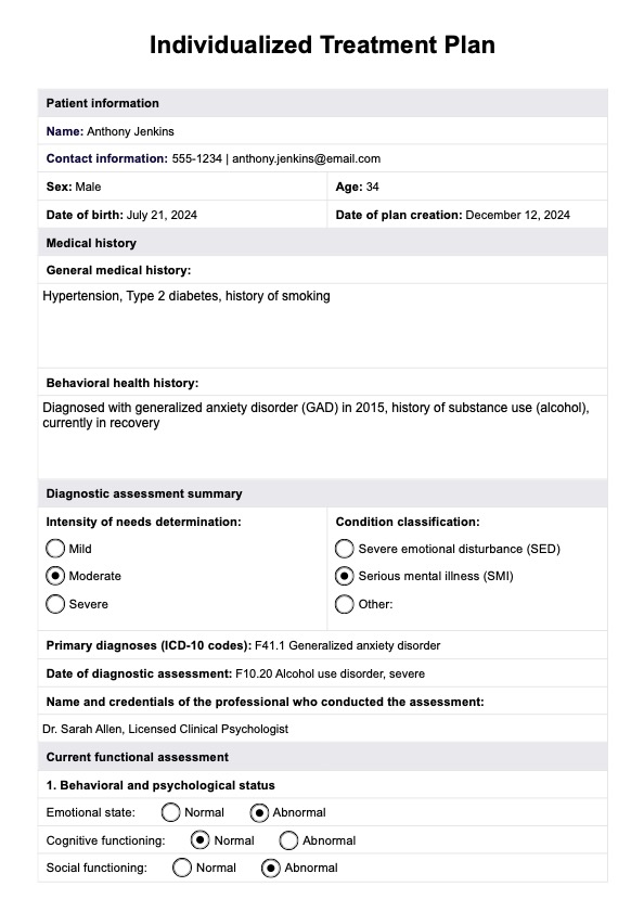 Individualized Treatment Plan PDF Example