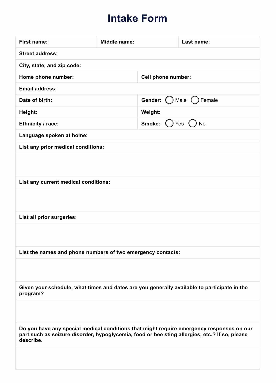 Intake Form Template PDF Example