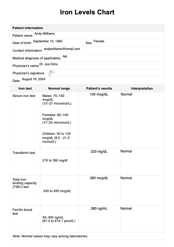 Iron Levels Chart & Example | Free PDF Download