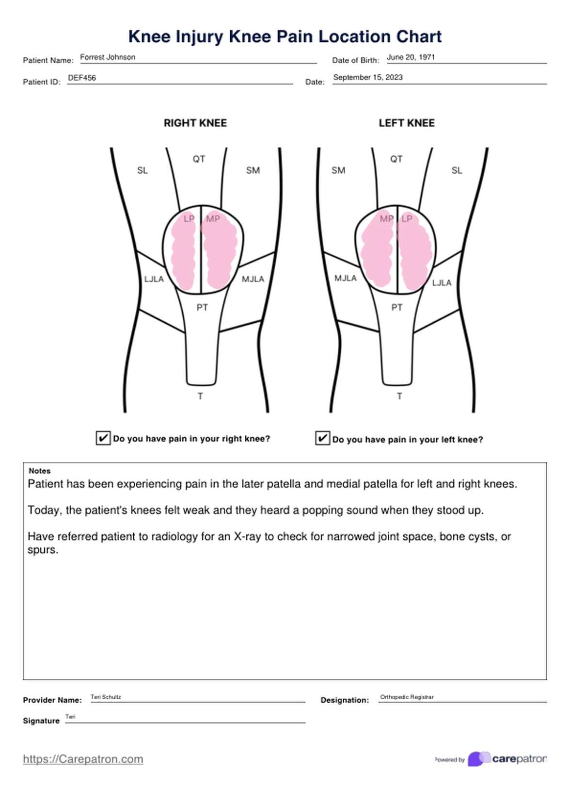 Knee Injury Knee Pain Location Chart PDF Example