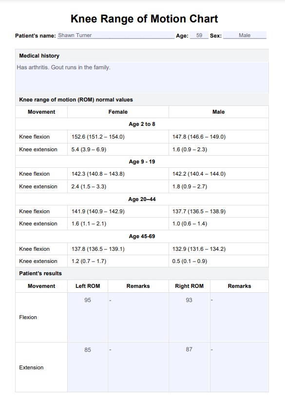 무릎 동작 범위 차트 PDF Example