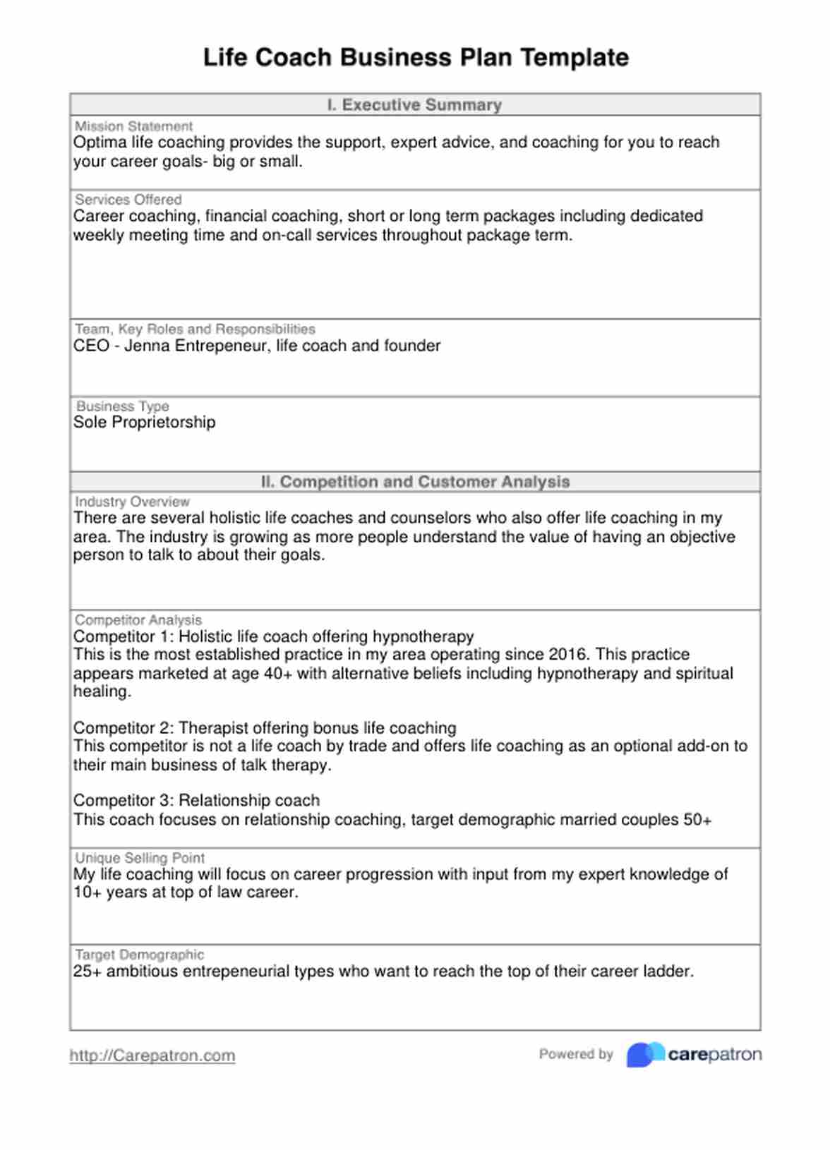 Life Coach Business Plan Template PDF Example