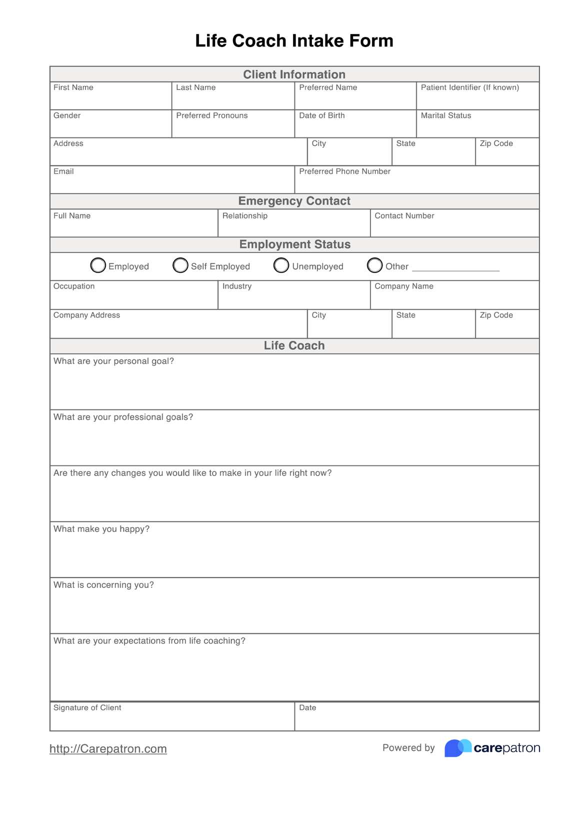 Life Coach Intake Form PDF Example